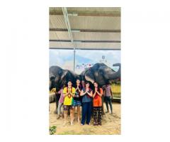 Elephant Rides & Sanctuary Experiences in Jaipur with Elefriendride