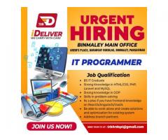 IT Programmer
