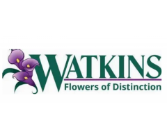 Watkins Flowers - flower delivery raleigh