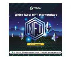 White label NFT Marketplace
