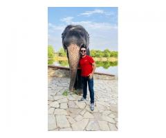 Elephant Rides in Jaipur: A Unique Experience at Elefriendride