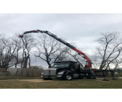 Tree Care