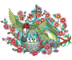 Looking for Best Marriage Counselor in South Carolina?