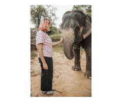 Elefriendride - Ethical Elephant Sanctuary in Jaipur