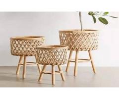 Bamboo Stands in Maharashtra