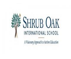 Shrub Oak International School