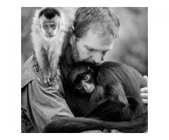 Stand With Wildlife - Donate Today