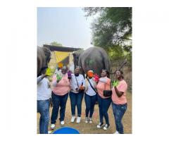 Discover the Best Elephant Sanctuary in Jaipur with Elefriendride!