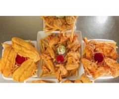 Sharks Fish and Chicken