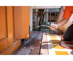 Reliable Pest Control in Laguna Niguel