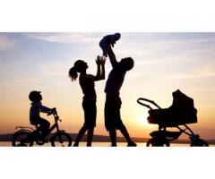 Insurance Fraud Investigation service in Toronto