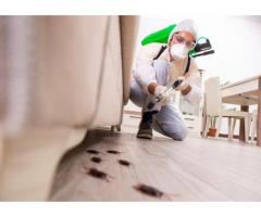 Best Pest Control Services Singapore - Ardent Pest Management