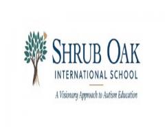 Shrub Oak International School