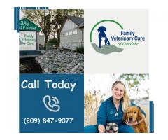 Oakdale Veterinary Hospital - Family Vet Care of Oakdale