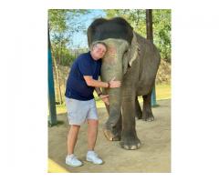 Elephant Sanctuary Jaipur | Ethical Elephant Ride & Experience