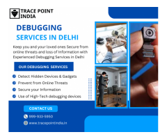 Debugging services in Delhi