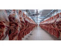 Bovine Beef wholesale, Wholesale Frozen Chicken