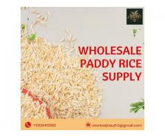 Wholesale Paddy Rice Supply Aron Baijnauth