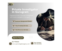 Private Investigator in Solving Corporate Investigations