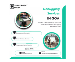 Shielding Lives & Businesses: How Debugging Services Stop Online Threats & Protect Sensitive