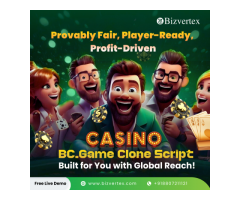 Ready-to-Use BC Game Clone App – Your Ticket to the Crypto Gaming Market