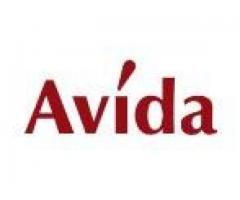 Avida Land