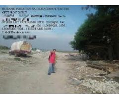 lot for sale in tanay rizal