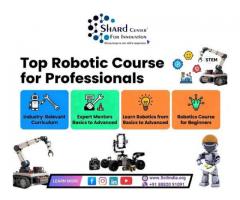 Top Robotic Course for Professionals