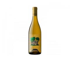 Enjoy Premium Chardonnay White Wine at WalletFriendly Prices