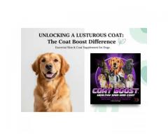 Grooming Supplements: The Routine for a ShowQuality Dog Coat