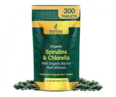 Superfood Energy With Organic Spirulina Powder for Daily Wellness