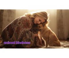 Every Paw Matters Support Tree City Cats Rescue