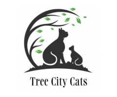 Every Paw Matters Support Tree City Cats Rescue