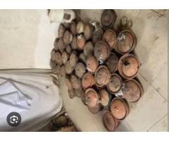 The best powerful spiritual herbalist in Nigeria+2348117409635