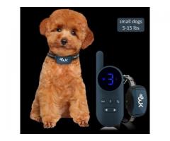 Electric Collars for Small Dogs Safe and Effective Training Solutions