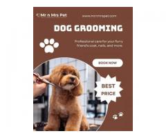 next ad » Pet Grooming Service at Home in Amritsar