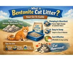 Bulk Bentonite Cat Litter for Pet Brands