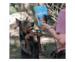 Keep Your Dog Active with Pup Thrive LLC Joint Supplement for Dogs