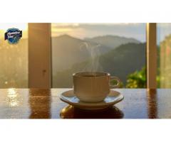 Buy Premium Blue Coffee Online Authentic Jamaican Mountain Coffee