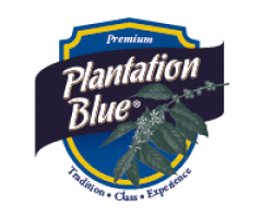 Buy Premium Blue Coffee Online Authentic Jamaican Mountain Coffee