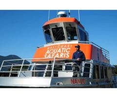 Tofino Private Boat Tours Book Now Whale Safaris