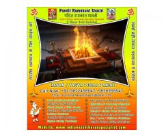 Indian Vashikaran Specialist