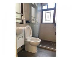 Full Furnished studio room for rent in 370 Thomson Rd, Singapore - Novena