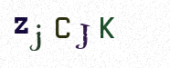 Visual Confirmation Security Code