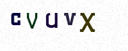 Visual Confirmation Security Code